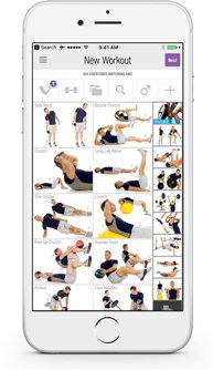 Multi Gym Workout Chart Download